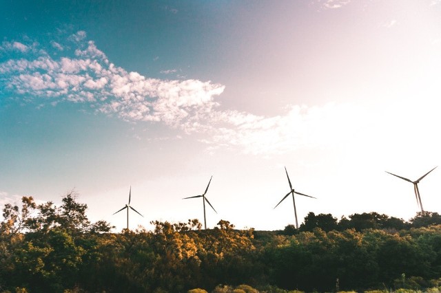 Sustainability Environment Windmills